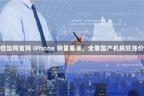 倍加网官网 iPhone 销量暴涨，全靠国产机疯狂涨价