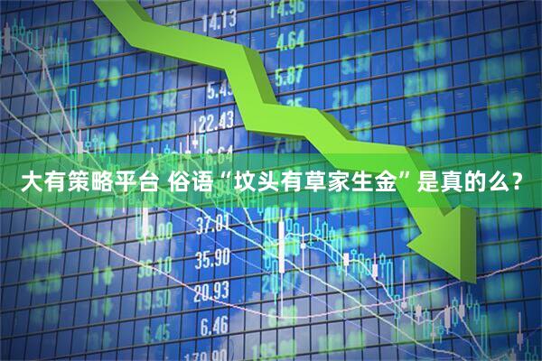 大有策略平台 俗语“坟头有草家生金”是真的么？